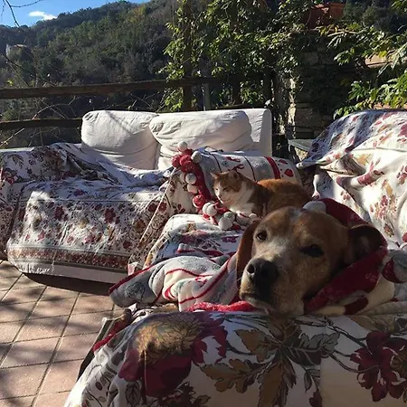 Agriturismo Aspettando Il Sole * اوركو فيغلينو
