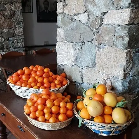 Agriturismo Aspettando Il Sole اوركو فيغلينو