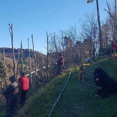Agriturismo Aspettando Il Sole Agroturismo *