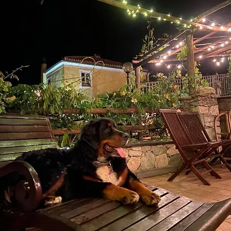مزرعة للإقامة Agriturismo Aspettando Il Sole اوركو فيغلينو