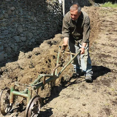 Agriturismo Aspettando Il Sole مزرعة للإقامة *